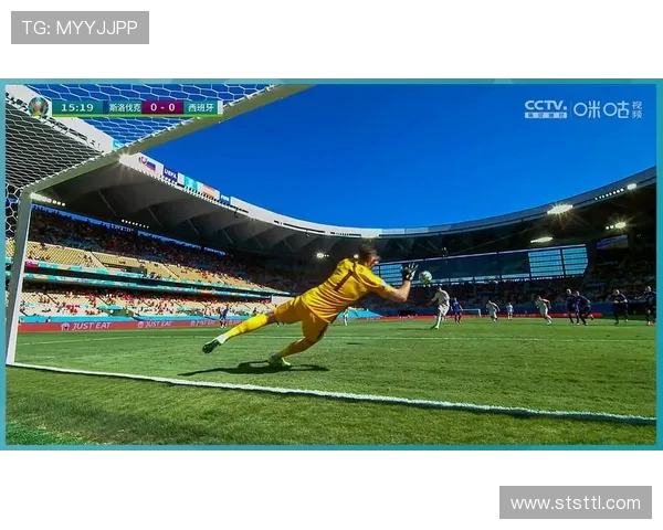 荷兰与斯洛伐克上半场精彩对决回顾与分析